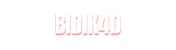 Bidik4D